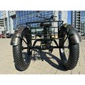 Электровелосипед трехколесный SmartBalance   Tank Trike