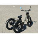 Электровелосипед трехколесный SmartBalance   Tank Trike