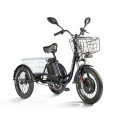 Трицикл Eltreco Porter Fat 700 Черный-2417