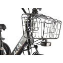 Трицикл GREEN CITY e-ALFA Trike Черный-2515