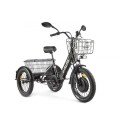 Трицикл GREEN CITY e-ALFA Trike Черный-2515