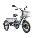 Трицикл GREEN CITY e-ALFA Trike Черный-2515