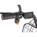 Трицикл GREEN CITY e-ALFA Trike Черный-2515
