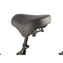 Трицикл GREEN CITY e-ALFA Trike Черный-2515
