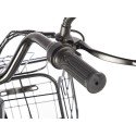 Трицикл GREEN CITY e-ALFA Trike Черный-2515