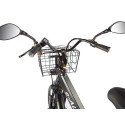 Трицикл GREEN CITY e-ALFA Trike Черный-2515