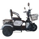 Электротрицикл Shtenli Model 30 SLA 12Ач48В