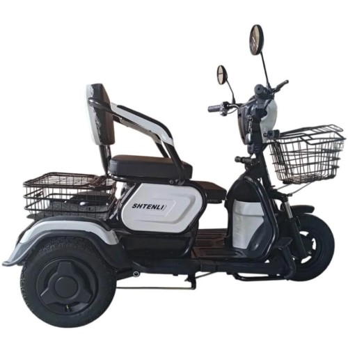 Электротрицикл Shtenli Model 30 SLA 12Ач48В