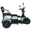 Электротрицикл Shtenli Model 30 SLA 12Ач48В