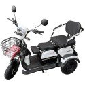 Электротрицикл Shtenli Model 30 SLA 12Ач48В