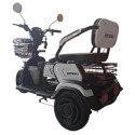 Электротрицикл Shtenli Model 30 SLA 12Ач48В