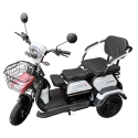 Электротрицикл Shtenli Model 30 SLA 12Ач48В