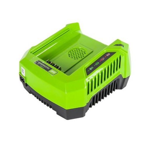 Зарядное устройство Greenworks 80V G82B2