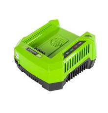 Зарядное устройство Greenworks 80V G82B2