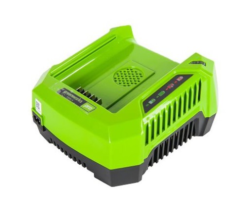 Зарядное устройство Greenworks 80V G82B2