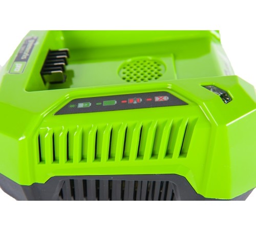 Зарядное устройство Greenworks 80V G82B2