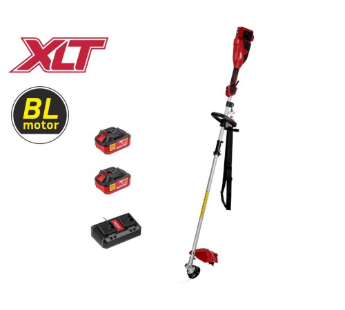 Триммер аккумуляторный Wortex TB 3036-1 ALL1 XLT SET (2хАКБ и ЗУ)