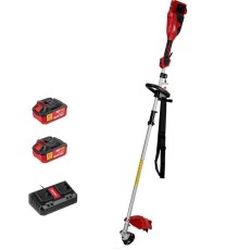 Триммер аккумуляторный Wortex TB 3036-1 ALL1 XLT SET (2хАКБ и ЗУ)