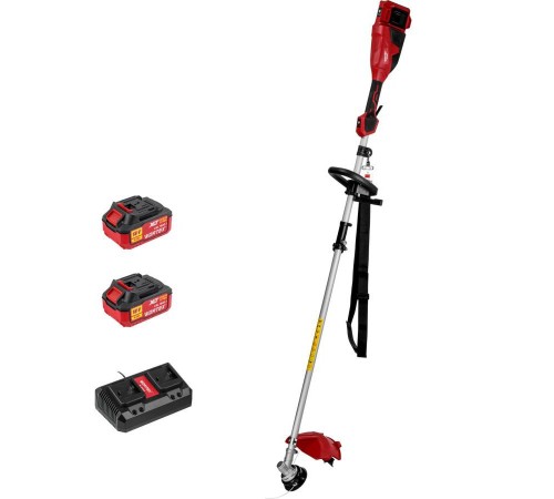 Триммер аккумуляторный Wortex TB 3036-1 ALL1 XLT SET (2хАКБ и ЗУ)