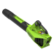 Воздуходувка аккумуляторная Greenworks 24V G24BIII (Без АКБ и ЗУ)
