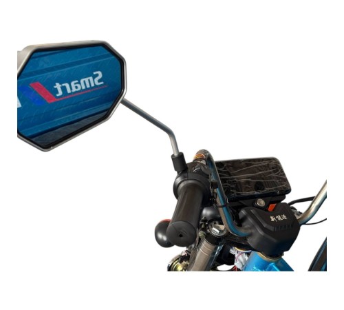 Грузовой электротрицикл SmartBalance   Cargo