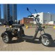 Электроскутер SmartBalance   X11 Trike