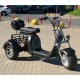 Электроскутер SmartBalance   X11 Trike