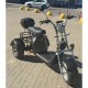 Электроскутер SmartBalance   X11 Trike