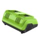 Ультрабыстрое двойное зарядное устройство  Greenworks 24V G24X2C8 8A