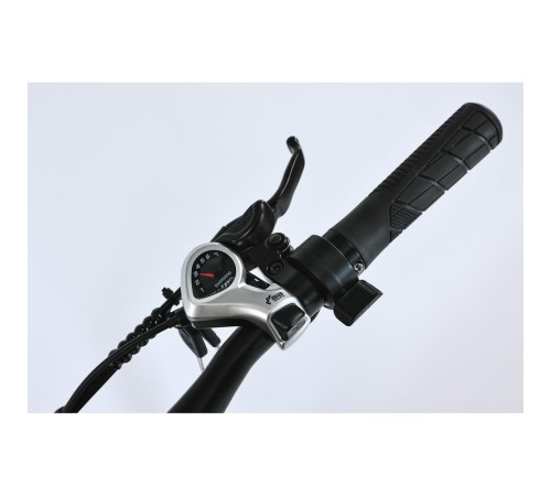 Электровелосипед SmartBalance   City