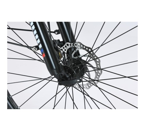 Электровелосипед SmartBalance   City