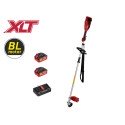 Триммер аккумуляторный Wortex TB 3036-1 ALL1 XLT SET (2хАКБ и ЗУ)