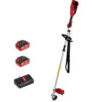 Триммер аккумуляторный Wortex TB 3036-1 ALL1 XLT SET (2хАКБ и ЗУ)