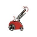 Аэратор-скарификатор электрический Einhell GC-SA 1231/1