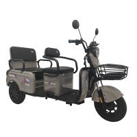 Электротрицикл SmartBalance   SPARTAK