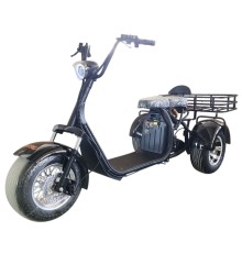 Электротрицикл Shtenli Model 108