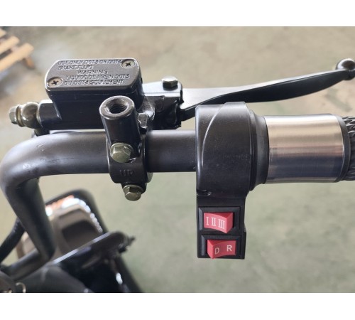 Электротрицикл Shtenli Model 108