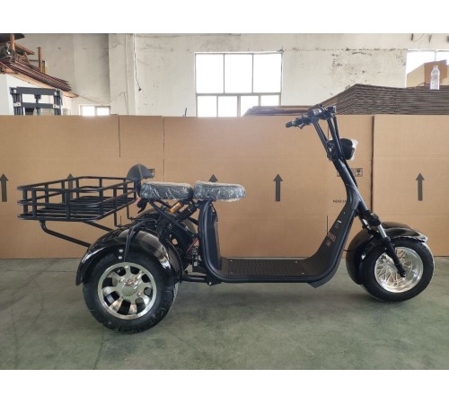 Электротрицикл Shtenli Model 108