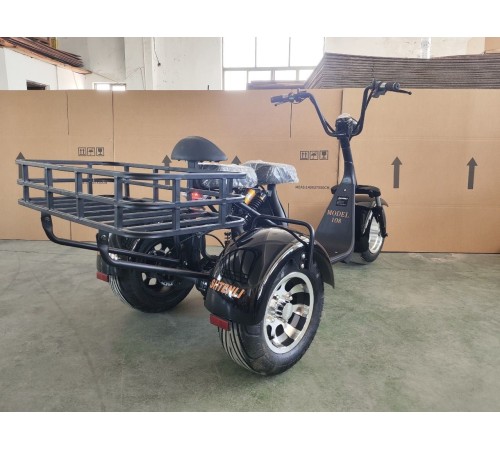 Электротрицикл Shtenli Model 108