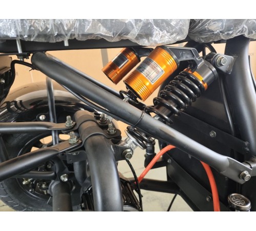 Электротрицикл Shtenli Model 108