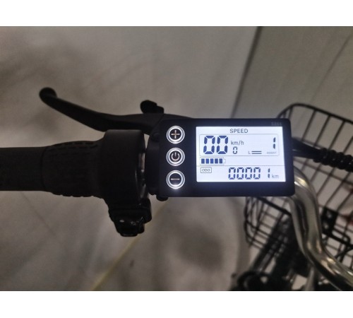 Электровелосипед Shtenli Trike 31 36V12A