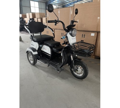 Электротрицикл Shtenli Model 31 60V 20A