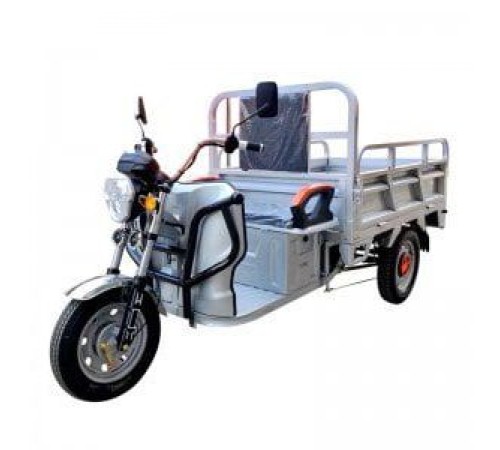 Грузовой электротрицикл Shtenli Model 100