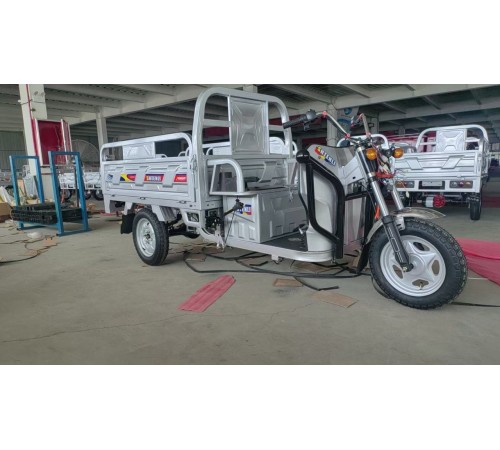 Грузовой электротрицикл Shtenli Model 100