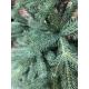 Ель искусственная GrandSiti Варна 240см