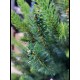 Ель искусственная GrandSiti Мила 90см
