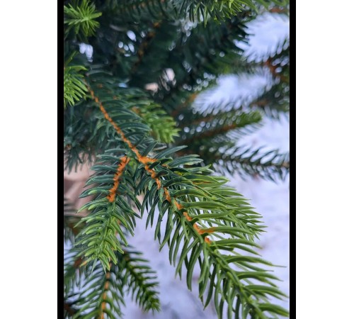 Ель искусственная GrandSiti Мила 90см