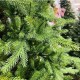 Ель искусственная GrandSiti Парма 300см