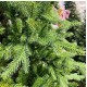Ель искусственная GrandSiti Парма 345см