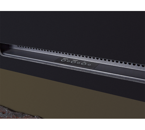 Электрокамин Electrolux Infinity EFP/P-1600ULS N